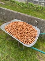 Je vend des Noix fraiches tout juste tomber de l’arbre., Divers, Enlèvement