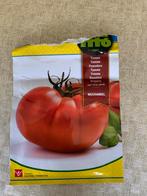 Grote, zoete spaanse tomaat, muchamiel, Tuin en Terras, Planten | Tuinplanten, Ophalen, Volle zon, Groenteplanten, Eenjarig
