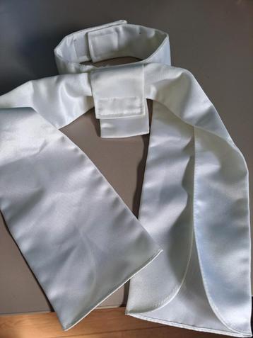 Plastron kind ZGAN  beschikbaar voor biedingen