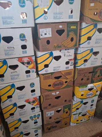 Bananendozen beschikbaar voor biedingen