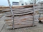 Acacia / kastanje  gepunte palen, Jardin & Terrasse, Poteaux, Poutres & Planches, Poteaux, Bois dur, Comme neuf, Enlèvement