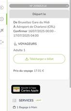 FLIBCO-BUSTICKET (BXL - luchthaven Charleroi), Tickets en Kaartjes, Overige Tickets en Kaartjes, Eén persoon
