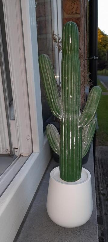 Cactus décoration d'intérieur 41cm new à saisir ️️️️️️️️️️↙️