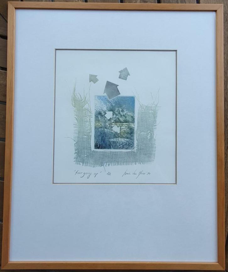 Mark Van Hove (Temse), Ets, 4 going up, Antiek en Kunst, Kunst | Etsen en Gravures, Ophalen of Verzenden