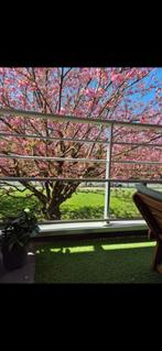 Appartement te koop in Anderlecht, Immo, Huizen en Appartementen te koop, Bruxelles, Brussel, Appartement, 84 m²