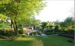 Entretien parc et jardin. Service 7/7 0488044310, Tuin