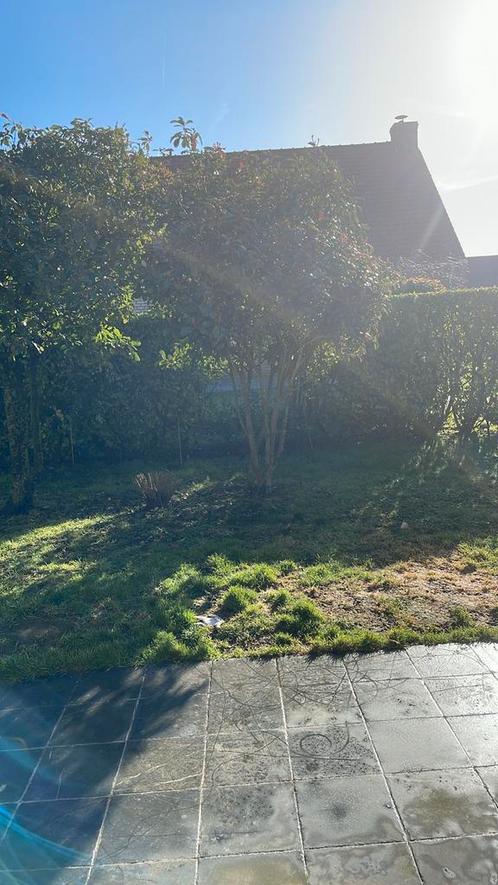 Location petite maison à la panne ou oostduinkerque, Immo, Huizen te huur