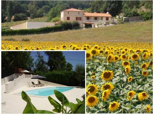 Logeren in Zuid Frankrijk bij Vlamingen, Vakantie, Vakantiehuizen | Frankrijk, Midi-Pyreneeën, Landhuis of Villa, Landelijk, 2 slaapkamers