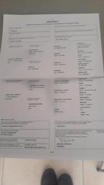 5 jaar ruin, Dieren en Toebehoren, Paarden, Met stamboom, Springpaard, Ruin, Zadelmak