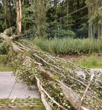 Alle tuinwerk, Tuin en Terras, Ophalen