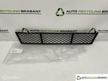 Bumpergrille BMW 5 Serie F10 F11 NIEUW ORIGINEEL 51117285950