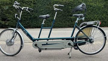 tandem Van Raam Twinny avec le soutien de Heinzmann disponible aux enchères