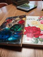 Boeken, Boeken, Atlassen en Landkaarten, Ophalen, Zo goed als nieuw