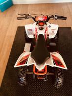 Kayo eA50 (Electric) BY CFMOTOFLANDERS, 1 cylindre