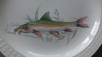 4 unieke prachtige grote borden 26 cm porselein wit vis, Ophalen of Verzenden