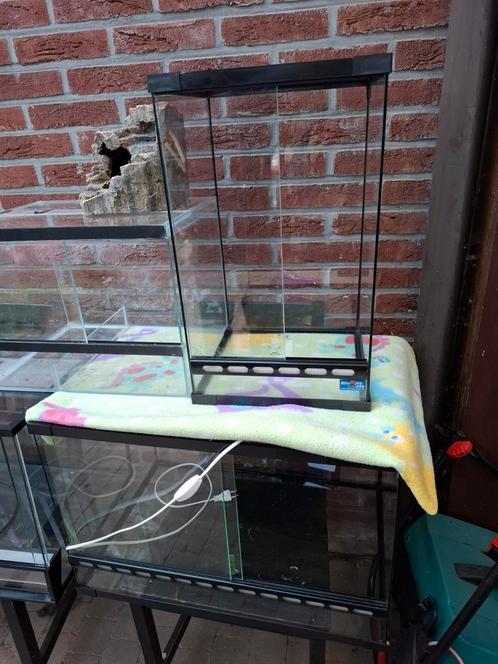 Terrariums, Dieren en Toebehoren, Reptielen en Amfibieën | Toebehoren, Ophalen