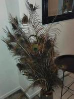 Pauwveren ZONDER vaas, Huis en Inrichting, Woonaccessoires | Kransen, Ophalen, Zo goed als nieuw