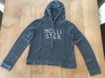 Hoodie met logo, Kinderen en Baby's, Kinderkleding | Overige, Ophalen of Verzenden, Gebruikt, Hollister, Meisje