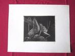 Gravure unique eau-forte Richard Joris 1965 Sauterelle Belgi, Enlèvement ou Envoi
