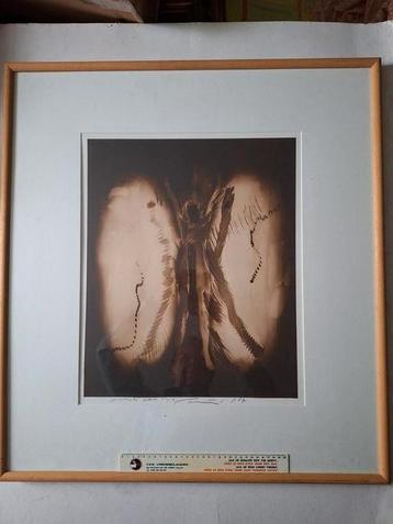 Zeldzame kunstfoto van Vladimir Zidlicky uit 1987 beschikbaar voor biedingen