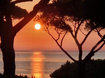 A louer appartement à Sainte-Maxime Côte d'Azur avec vue mer disponible aux enchères