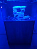 Bonjour à vendre aquarium bleue marine 160 litres, Animaux & Accessoires