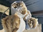 Wol ongewassen 17 schapen (9 zakken), Ophalen, Gebruikt, Spinwol