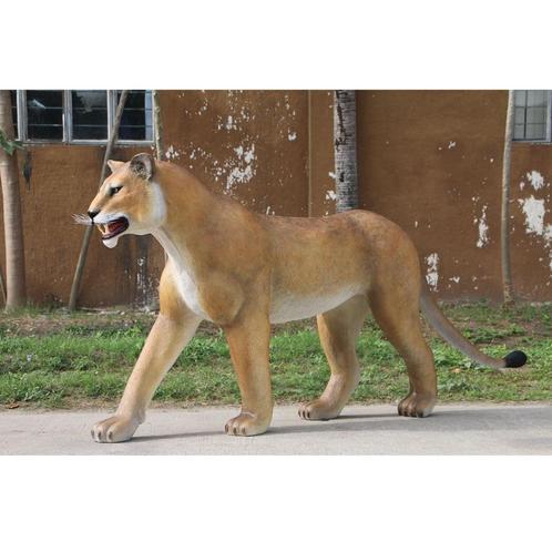 Lion Lioness Walking 243 cm - Leeuwin beeld, Verzamelen, Dierenverzamelingen, Nieuw, Ophalen of Verzenden