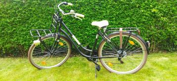 Nieuwe Hollandia fiets Matt Grey