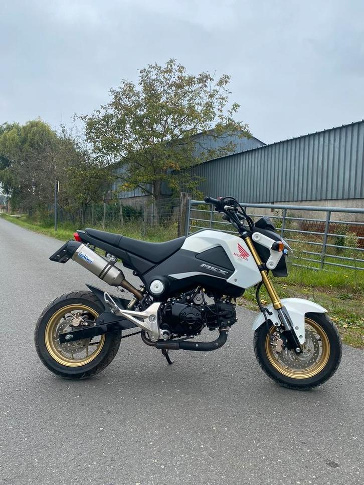 Honda MSX grom 125cc, Motoren, Motoren | Honda, Particulier, 1 cilinder, Minimaal motorrijbewijs A1, Ophalen