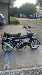Honda dax, Fietsen en Brommers, Ophalen, Overige modellen, Nieuw, Klasse B (45 km/u)