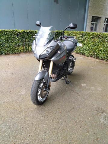 Triumph Tiger 1050 en parfait état