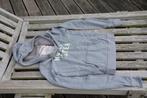 Hoodie Hollister gris L sweat à capuche, Garçon ou Fille, Pull ou Veste, Utilisé, Hollister