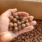 Hydrokorrels/kleikorrels/drainagekorrels, Tuin en Terras, Planten | Tuinplanten, Ophalen
