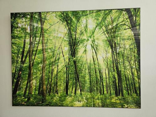 Tableau photo 80x60 (forêt ensoleillée), Huis en Inrichting, Woonaccessoires | Schilderijen, Tekeningen en Foto's, Zo goed als nieuw