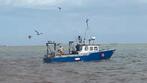 Visboot te koop, Watersport en Boten, Vis- en Consoleboten, Ophalen, Gebruikt, Staal, Binnenboordmotor