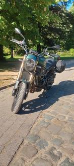 Benelli 800 Leoncino, Motoren, Motoren | Benelli, Particulier