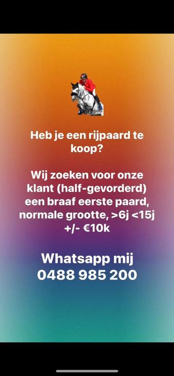 Rijpaard te koop gezocht!  beschikbaar voor biedingen