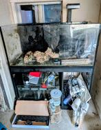 Red sea 425xl, Ophalen, Zo goed als nieuw, Leeg aquarium
