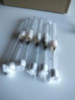 Lasius niger 5x kolonies, Enlèvement ou Envoi