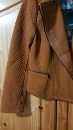 Veste femme doublée neuve taille médium pour 25 €, Enlèvement, Comme neuf