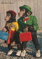 KOPPEL  CHIMPANSEES  GAAN  OP  REIS !, Collections, Cartes postales | Animaux, Envoi, Non affranchie, Animal sauvage