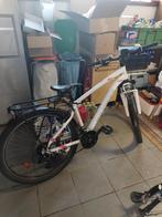 Mountainbike, Gebruikt, Overige maten, Meer dan 20 versnellingen, Ophalen