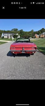 1967 Ford Mustang Cabrio, Achat, Entreprise, Mustang, Électrique