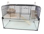 Cage pour hamster Vision 51 Noir, Animaux & Accessoires, Hamster, Enlèvement, Cage, Moins de 60 cm