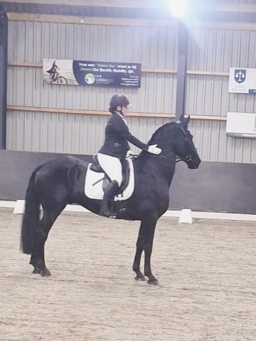 Plek vrij voor trainingspaard, Dieren en Toebehoren, Stalling en Weidegang, Stalling