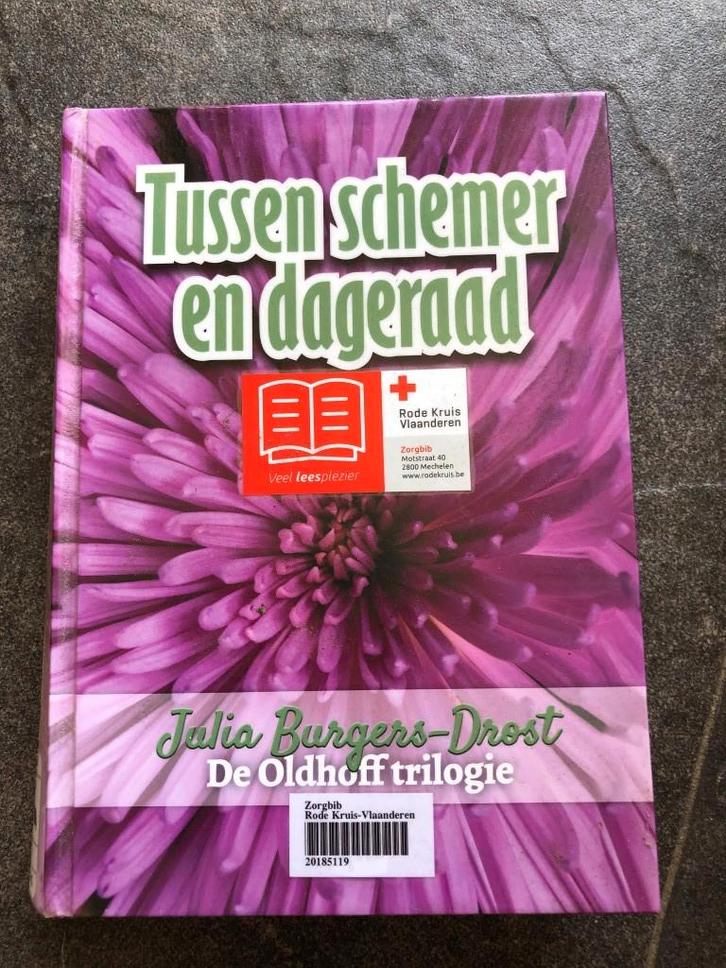 Tussen schemer en dageraad - Julia Burgers - groter letters, Boeken, Romans, Ophalen of Verzenden