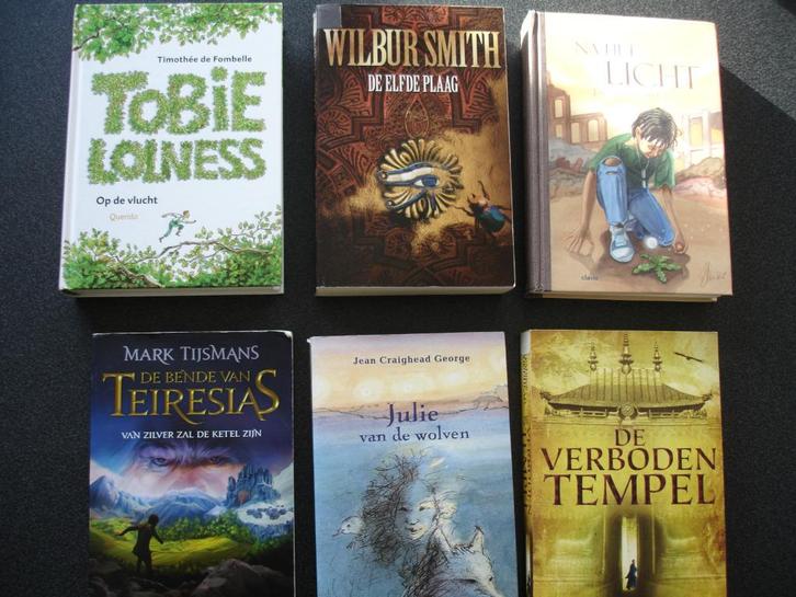 Pakket spannende jeugdboeken oa.Marc Tijsmans, J.Vandevelde, Livres, Livres pour enfants | Jeunesse | 10 à 12 ans, Enlèvement ou Envoi