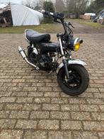 Dax, Enlèvement, Comme neuf