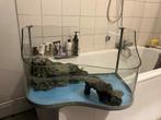 Aquarium vissen of waterschildpad, Dieren en Toebehoren, Ophalen, Gebruikt